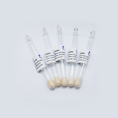 Escherichia coli DH5α(pHT01) — BNCC 359032