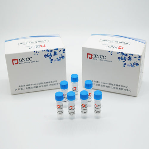 Indoor quality control material for Streptococcus thermophilus deoxyribonucleic acid liquid — BNCC 373804