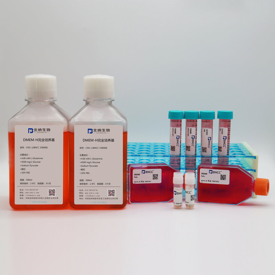 Panc04.03 – Human pancreatic ductal adenocarcinoma cells — BNCC 392160